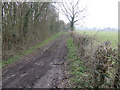 Track at the end of Lark's Lane in BS37 9TY