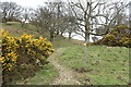 Footpath up Mulloch Hill in DG7 3UX