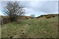 Path up Mulloch Hill in DG7 3UX