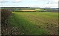 Farmland near Wellow in BA2 8QN