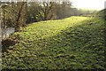Meadow by Wellow Brook in BA2 8NP