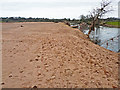 Flood aftermath - riverside field covered with sand in CA4 8SA