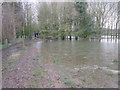 Flooded  field  and  footpath  approaching  Meadow  Gate in YO25 5YZ