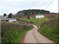 Road to Lower Creedy in EX17 4AF