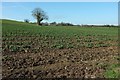 Crop by White Ox Mead Lane in BA2 8PE