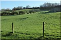 Pasture by White Ox Mead Farm in BA2 8PN