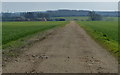 Track leading to Middle Lodge in Fotheringhay