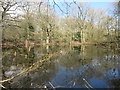Kiln Pond, Burnt Hill in RG18 0XF