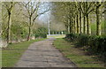 Tree lined path in Alwalton in PE7 3UR