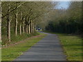 Tree lined path in Alwalton, Peterborough in PE2 6BY