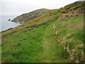 Coast path above Eglarooze Cliff in PL11 3DY