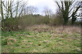 Clearing in scrub area on north side of Pear Tree Lane in LE11 5FH