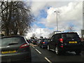 Stuck in traffic on a saturday morning entering Newton Abbot in TQ12 1DF
