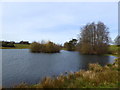 The Upper Pond, Petworth Park in GU28 0DN