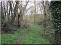 Footpath in Wright's Hill Plantation in NG11 0AU