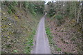 Path on disused railway line south of Meonstoke in SO32 3AJ