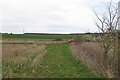 Footpath on arable field margin, looking to Water Lane, Radwinter  in CB10 2UA