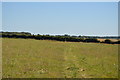 North Downs Way, Barham Downs in CT4 6HL