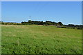Grassland, Upper Digges Farm in CT4 6QR