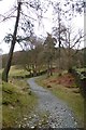 Bridleway to Ivy Crag in LA22 9HF