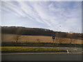 Field and woodlands by Folkestone Road in Maxton & Elms Vale Ward