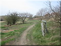 Old stone gatepost by the footpath at Stand Hill in S71 3DP