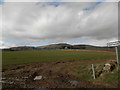 Field near Balnuith in DD4 0RE
