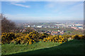 View from Boston Castle, Rotherham in S60 2AR
