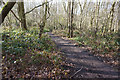 Trans Pennine Trail in Canklow Woods in S60 3DY