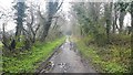 Footpath using the old railway line route in Lower Farringdon