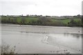 Mudflats, Teign Estuary in TQ14 9PT