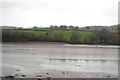 Mud, The Teign Estuary in TQ12 4RT