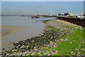 Thames shore near Frog Island in RM13 9YD