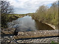 King's Sedgemoor Drain in TA7 8AG