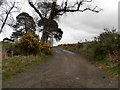 Track to North Ballo in PH13 9LD