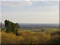 View from the south-west flank of Holmbury Hill (1) in GU6 7NR