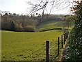 The Greensand Way heading westward, near Coverwood Farm (1) in GU6 7NR