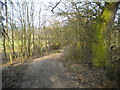 Bridleway south of Oldmoor Wood (1) in NG9 3QQ