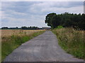 Farm track in YO10 5EJ