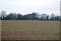 Field near Five Oak Green in TN12 6TD