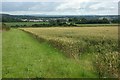 Cornfield near Camerton Farm in BA3 3DX