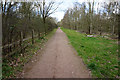Path in Shire Brook Valley in S12 4BN