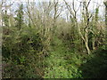 Trackbed of the former S & D Bridgwater branch in TA7 8LD