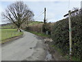 On Offa's Dyke Path north of Forden village in Forden with Leighton and Trelystan Community