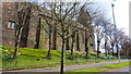 Knightswood Saint Margaret's Parish Church, Glasgow in G13 2RF