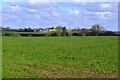 Farmland near Water Eaton in ST19 5QB