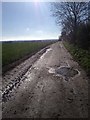 Bridleway towards Eyeworth Lodge Farm in Dunton