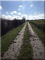 Bridleway towards Eyeworth Lodge Farm in SG7 5JL