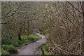 Path across the Loe Valley in TR13 0SB