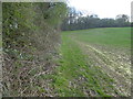 Looking towards the Greensand Way in ME18 5HE